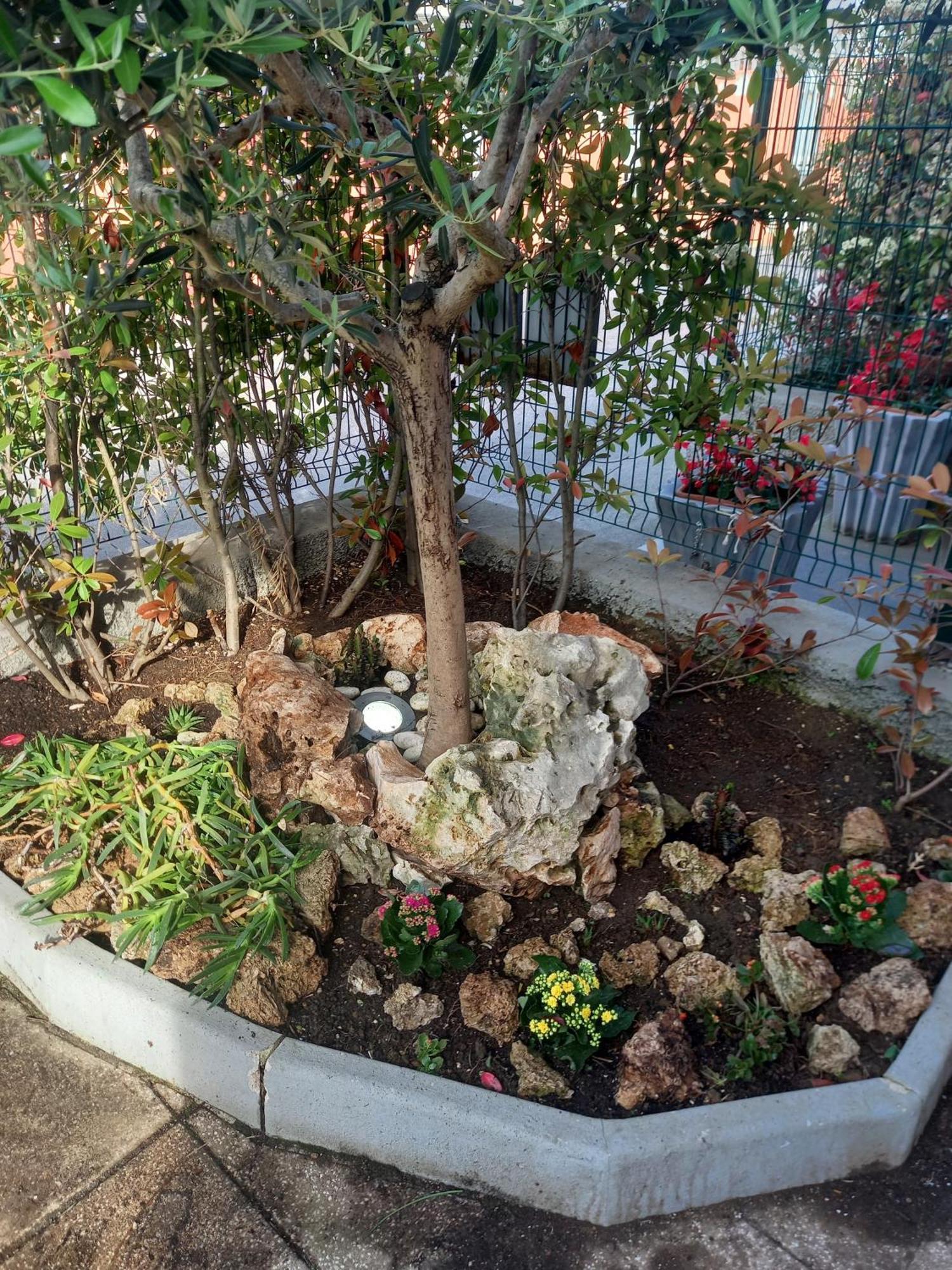 La Casa Di Piccoli Di Gabriele Martelli E Catia Pacetti - Appartamento Ancona Exteriér fotografie
